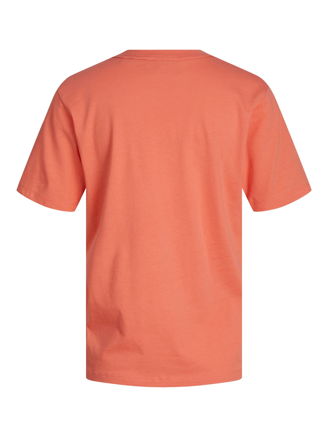 JJXX Καλοκαιρινό μπλουζάκι -Peach Echo  - 12200182
