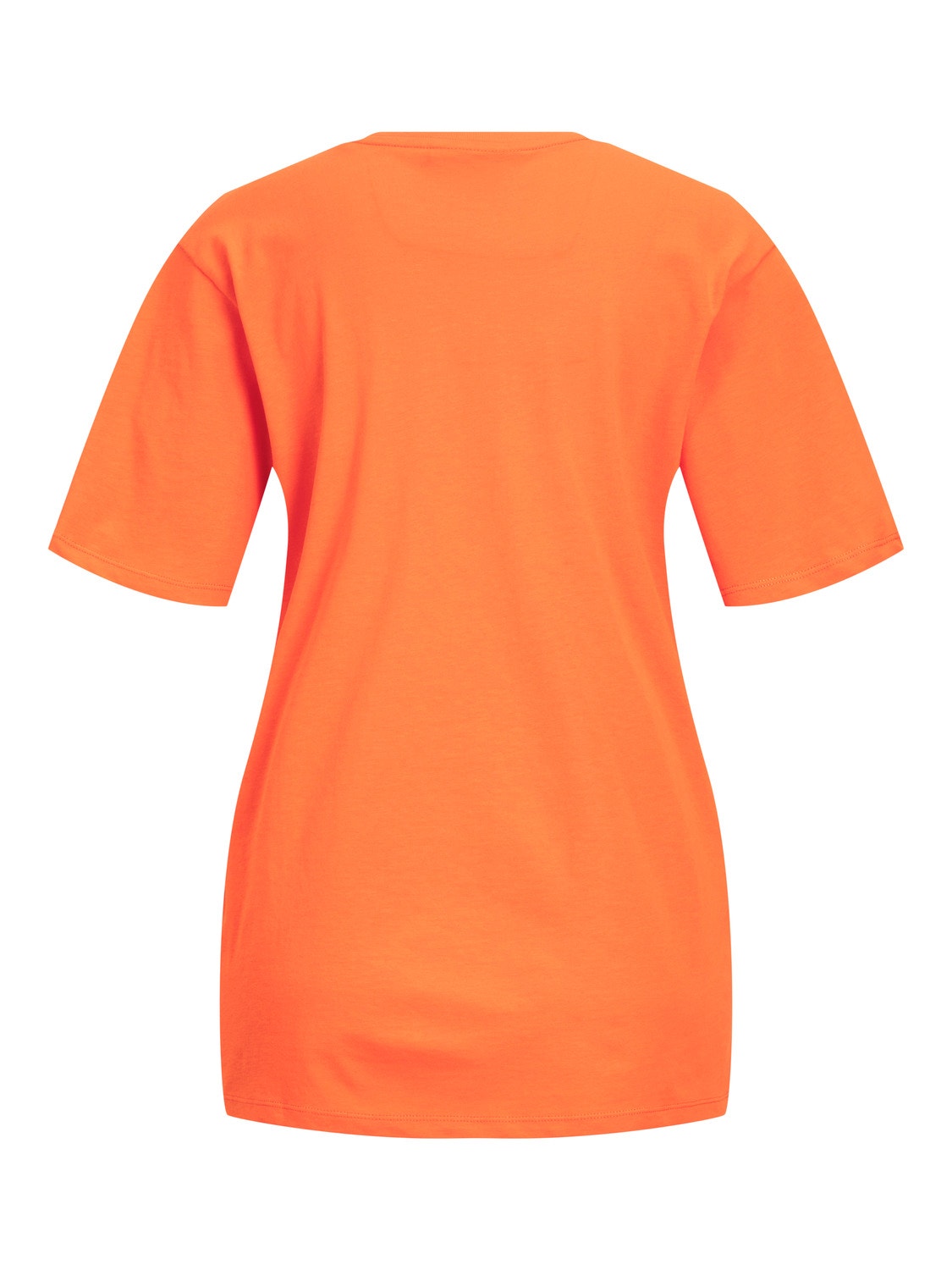 JJXX JXAMBER T-shirt -Puffins Bill - 12204837