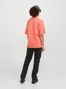 JJXX JXANDREA T-skjorte -Peach Echo  - 12205777