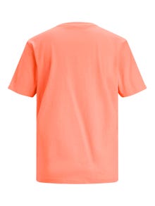 JJXX JXANNA T-shirt -Peach Echo  - 12206974