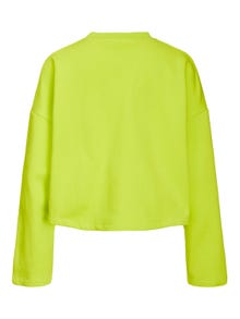 JJXX JXABBIE Sweatshirt med rund hals -Lime Punch - 12214536