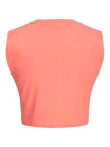 JJXX JXALVIRA T-skjorte -Peach Echo  - 12224211