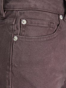 JJXX JXAJA Classic trousers -Seal Brown - 12237166